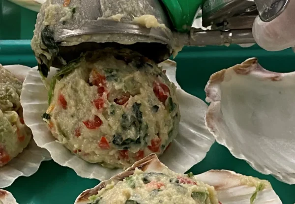 Stuffed Scallop Shells - Image 2